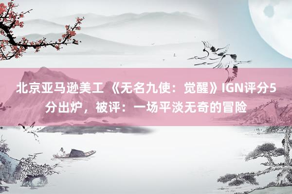 北京亚马逊美工 《无名九使：觉醒》IGN评分5分出炉，被评：一场平淡无奇的冒险